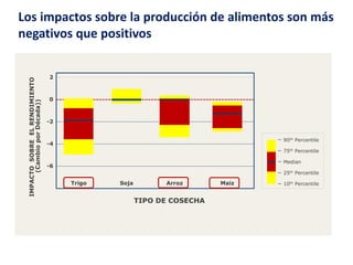 90th Percentile
75th Percentile
Median
25th Percentile
10th Percentile
Los impactos sobre la producción de alimentos son más
negativos que positivos
Trigo Soja Arroz Maiz
TIPO DE COSECHA
-6
-4
-2
0
2
IMPACTOSOBREELRENDIMIENTO
(CambioporDécada))
 