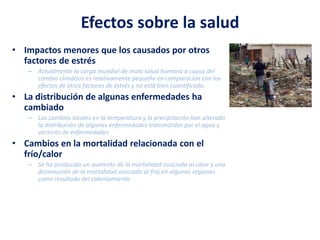 Efectos sobre la salud
• Impactos menores que los causados por otros
factores de estrés
– Actualmente la carga mundial de mala salud humana a causa del
cambio climático es relativamente pequeña en comparación con los
efectos de otros factores de estrés y no está bien cuantificada.
• La distribución de algunas enfermedades ha
cambiado
– Los cambios locales en la temperatura y la precipitación han alterado
la distribución de algunas enfermedades transmitidas por el agua y
vectores de enfermedades
• Cambios en la mortalidad relacionada con el
frío/calor
– Se ha producido un aumento de la mortalidad asociada al calor y una
disminución de la mortalidad asociada al frío en algunas regiones
como resultado del calentamiento
 