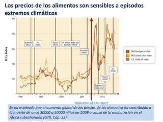 Los precios de los alimentos son sensibles a episodos
extremos climáticos
Se ha estimado que el aumento global de los precios de los alimentos ha contribuido a
la muerte de unos 30000 a 50000 niños en 2009 a causa de la malnutrición en el
África subsahariana (GTII, Cap. 22)
 