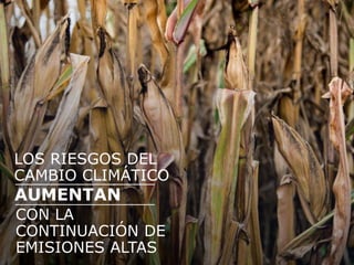 CON LA
CONTINUACIÓN DE
EMISIONES ALTAS
AUMENTAN
LOS RIESGOS DEL
CAMBIO CLIMÁTICO
 