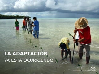 YA ESTA OCURRIENDO
LA ADAPTACIÓN
 