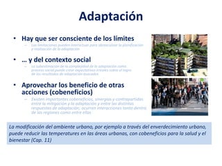 Adaptación
• Hay que ser consciente de los límites
– Las limitaciones pueden interactuar para obstaculizar la planificación
y realización de la adaptación
• … y del contexto social
– La subestimación de la complejidad de la adaptación como
proceso social puede crear expectativas irreales sobre el logro
de los resultados de adaptación buscados
• Aprovechar los beneficio de otras
acciones (cobeneficios)
– Existen importantes cobeneficios, sinergias y contrapartidas
entre la mitigación y la adaptación y entre las distintas
respuestas de adaptación; ocurren interacciones tanto dentro
de las regiones como entre ellas
La modificación del ambiente urbano, por ejemplo a través del enverdecimiento urbano,
puede reducir las temperatures en las áreas urbanas, con cobeneficios para la salud y el
bienestar (Cap. 11)
 