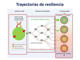 Trayectorias de resiliencia
 