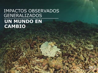 UN MUNDO EN
CAMBIO
IMPACTOS OBSERVADOS
GENERALIZADOS
 