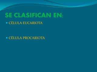 SE CLASIFICAN EN:
 CÉLULA EUCARIOTA



 CÉLULA PROCARIOTA
 