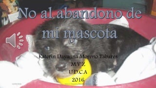 Katerin Dayanna Moreno Tabares
M.V.Z
U.D.C.A
201612/03/2016 Katerin Dayanna Moreno Tabares
 