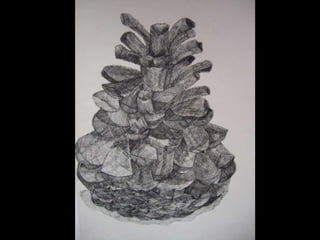 More observation drawing