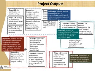More pork by and for the poor: Catalyzing emerging smallholder pig value chains in Uganda for food security and poverty reduction