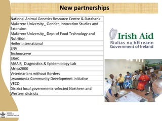 More pork by and for the poor: Catalyzing emerging smallholder pig value chains in Uganda for food security and poverty reduction
