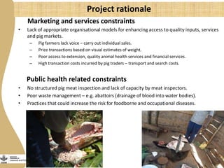 More pork by and for the poor: Catalyzing emerging smallholder pig value chains in Uganda for food security and poverty reduction