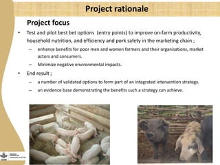 More pork by and for the poor: Catalyzing emerging smallholder pig value chains in Uganda for food security and poverty reduction
