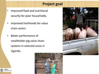 More pork by and for the poor: Catalyzing emerging smallholder pig value chains in Uganda for food security and poverty reduction