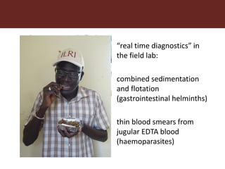 More pork and less parasites: A farm to fork approach for assessment and management of pork meat associated diseases in Uganda