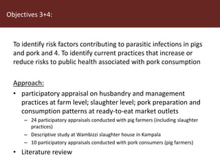 More pork and less parasites: A farm to fork approach for assessment and management of pork meat associated diseases in Uganda