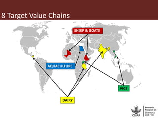 More pork and less parasites: A farm to fork approach for assessment and management of pork meat associated diseases in Uganda