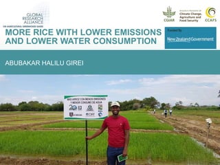 More rice with lower emissions and lower water consumption