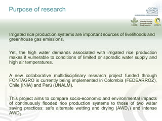 More rice with lower emissions and lower water consumption