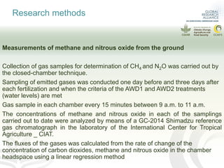 More rice with lower emissions and lower water consumption