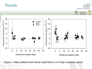 More rice with lower emissions and lower water consumption