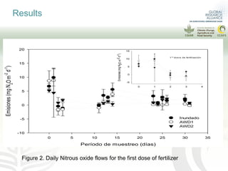 More rice with lower emissions and lower water consumption