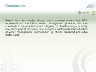More rice with lower emissions and lower water consumption