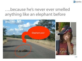 … .because he’s never ever smelled anything like an elephant before Elephant poo!  