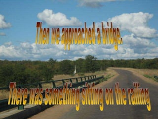 Then we approached a bridge. There was something sitting on the railing 