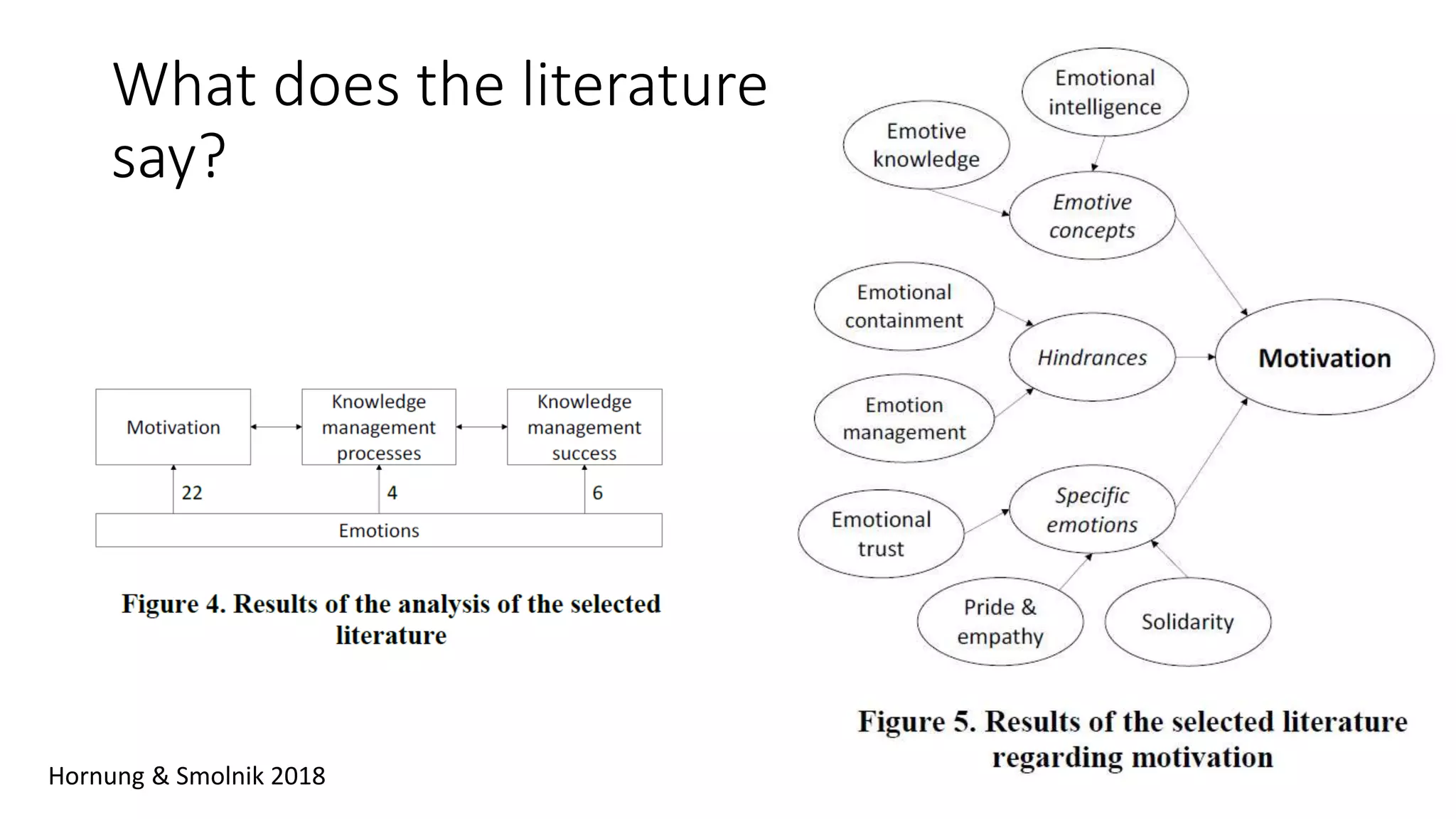 What does the literature
say?
Hornung & Smolnik 2018
 