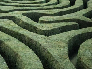 More Than Collaborators: Processing Colleague Departure