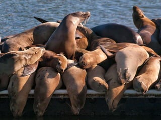 More Than Collaborators: Processing Colleague Departure