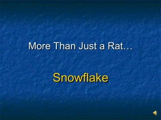 More Than Just a Rat… Snowflake 