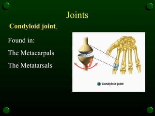 Joints  Condyloid joint   Found in:  The Metacarpals  The Metatarsals  