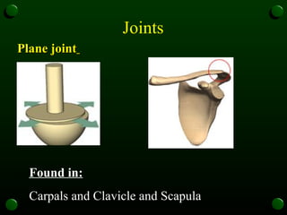 Joints   Plane joint   Found in: Carpals and Clavicle and Scapula  