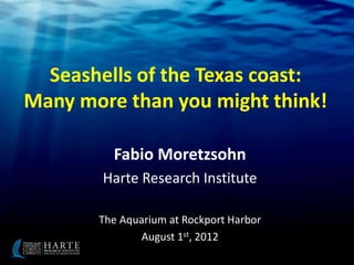 Seashells of the Texas coast: 
Many more than you might think! 
Fabio Moretzsohn 
Harte Research Institute 
The Aquarium at Rockport Harbor 
August 1st, 2012 
 