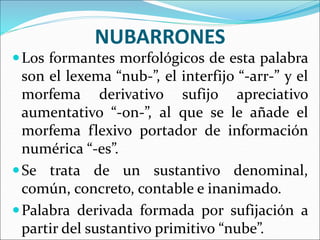 NUBARRONES
Los formantes morfológicos de esta palabra
son el lexema “nub-”, el interfijo “-arr-” y el
morfema derivativo sufijo apreciativo
aumentativo “-on-”, al que se le añade el
morfema flexivo portador de información
numérica “-es”.
Se trata de un sustantivo denominal,
común, concreto, contable e inanimado.
Palabra derivada formada por sufijación a
partir del sustantivo primitivo “nube”.
 