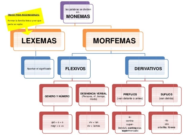 Resultado de imagen de morfemas y lexemas