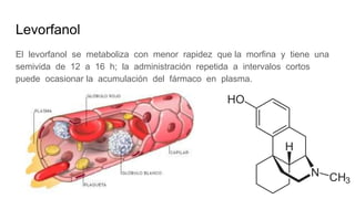 Levorfanol
El levorfanol se metaboliza con menor rapidez que la morfina y tiene una
semivida de 12 a 16 h; la administración repetida a intervalos cortos
puede ocasionar la acumulación del fármaco en plasma.
 