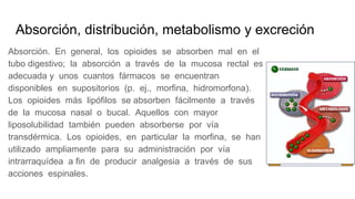 Absorción, distribución, metabolismo y excreción
Absorción. En general, los opioides se absorben mal en el
tubo digestivo; la absorción a través de la mucosa rectal es
adecuada y unos cuantos fármacos se encuentran
disponibles en supositorios (p. ej., morfina, hidromorfona).
Los opioides más lipófilos se absorben fácilmente a través
de la mucosa nasal o bucal. Aquellos con mayor
liposolubilidad también pueden absorberse por vía
transdérmica. Los opioides, en particular la morfina, se han
utilizado ampliamente para su administración por vía
intrarraquídea a fin de producir analgesia a través de sus
acciones espinales.
 