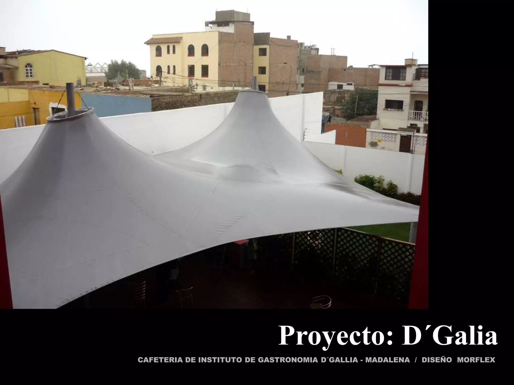 Proyecto: D´Galia
CAFETERIA DE INSTITUTO DE GASTRONOMIA D´GALLIA - MADALENA / DISEÑO MORFLEX
 