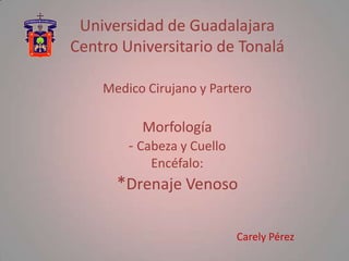 Universidad de Guadalajara
Centro Universitario de Tonalá

    Medico Cirujano y Partero

          Morfología
        - Cabeza y Cuello
            Encéfalo:
      *Drenaje Venoso

                            Carely Pérez
 