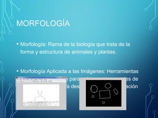 MORFOLOGÍA
• Morfología: Rama de la biología que trata de la
forma y estructura de animales y plantas.
• Morfología Aplicada a las Imágenes: Herramientas
y métodos utilizados para extraer componentes de
la misma, útiles de la descripción y representación
de formas.
 
