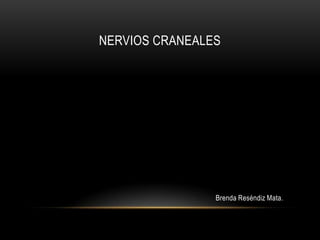 NERVIOS CRANEALES




                Brenda Reséndiz Mata.
 