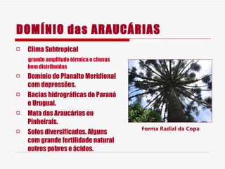 DOMÍNIO das ARAUCÁRIAS Clima Subtropical  grande amplitude térmica e chuvas bem distribuídas Domínio do Planalto Meridional com depressões. Bacias hidrográficas do Paraná e Uruguai. Mata das Araucárias ou Pinheirais. Solos diversificados. Alguns com grande fertilidade natural outros pobres e ácidos. Forma Radial da Copa 