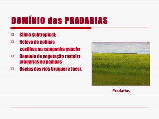 DOMÍNIO das PRADARIAS Clima subtropical; Relevo de colinas coxilhas ou campanha gaúcha Domínio de vegetação rasteira  pradarias ou pampas Bacias dos rios Uruguai e Jacuí. Pradarias 