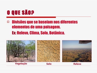 O QUE SÃO? Divisões que se baseiam nos diferentes elementos de uma paisagem. Ex:  Relevo, Clima, Solo, Botânica. Vegetação Solo Relevo 