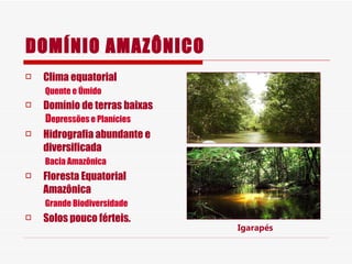 DOMÍNIO AMAZÔNICO Clima equatorial Quente e Úmido Domínio de terras baixas  D epressões e Planícies Hidrografia abundante e diversificada  Bacia Amazônica Floresta Equatorial Amazônica  Grande Biodiversidade Solos pouco férteis. Igarapés 