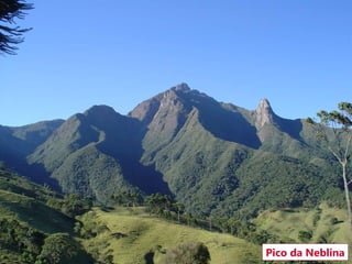 Pico da Neblina 