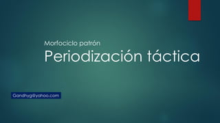 Morfociclo patrón
Periodización táctica
Gandhyg@yahoo.com
 