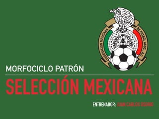 SELECCIÓN MEXICANA
MORFOCICLO PATRÓN
ENTRENADOR: JUAN CARLOS OSORIO
 