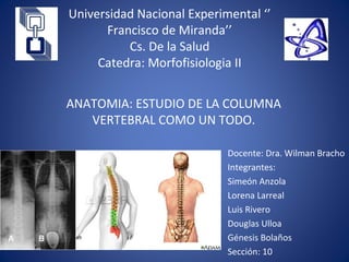 Universidad Nacional Experimental ‘’
Francisco de Miranda’’
Cs. De la Salud
Catedra: Morfofisiologia II
Docente: Dra. Wilman Bracho
Integrantes:
Simeón Anzola
Lorena Larreal
Luis Rivero
Douglas Ulloa
Génesis Bolaños
Sección: 10
ANATOMIA: ESTUDIO DE LA COLUMNA
VERTEBRAL COMO UN TODO.
 